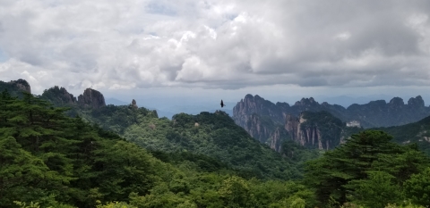 微信图片_20180709153039_副本.jpg